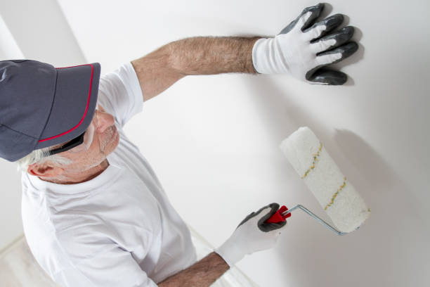 Best Black Mold Removal  in Elwood, UT